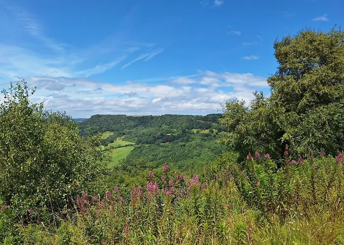 Hébergement de vacances Lark Rise *